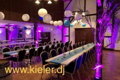 DJ Sunny - Ambientebeleuchtung